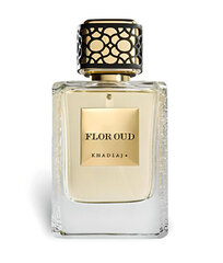 Parfüümvesi Maison Flor Oud EDP naistele/meestele, 100 ml hind ja info | Naiste parfüümid | kaup24.ee