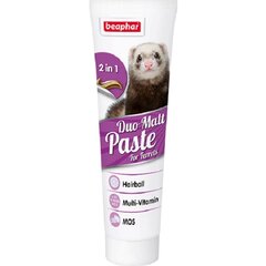 Кормовая добавка Beaphar Duo Active Paste Ferret, 100 г цена и информация | Пищевые добавки и анти-паразитные товары | kaup24.ee