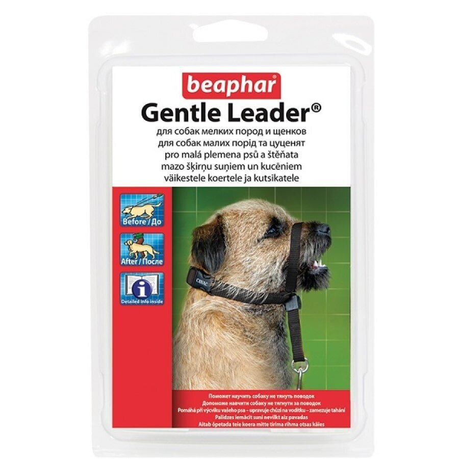 Koonurihm Beaphar Gentle Leader Small hind ja info | Kaelarihmad ja traksid koertele | kaup24.ee