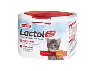 Emapiimaasendaja kassipoegadele Beaphar Lactol Kitten, 250 g цена и информация | Витамины, пищевые добавки и товары от паразитов | kaup24.ee