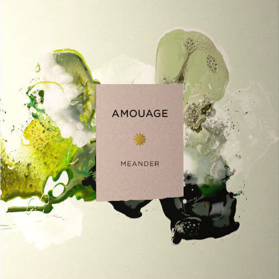 Parfüümvesi Amouage Meander Edp naistele, 100 ml цена и информация | Naiste parfüümid | kaup24.ee