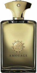 Parfüümvesi Amouage Gold Edp meestele, 100 ml hind ja info | Amouage Kosmeetika, parfüümid | kaup24.ee