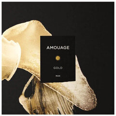 Парфюмированная вода Amouage Gold EDP для мужчин, 100 мл цена и информация | Мужские духи | kaup24.ee