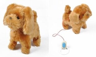 Интерактивная собака цена и информация | Развивающие игрушки | kaup24.ee