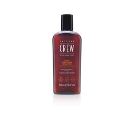 Meeste šampoon American Crew Daily Cleansing Shampoo, 1000ml цена и информация | Шампуни | kaup24.ee