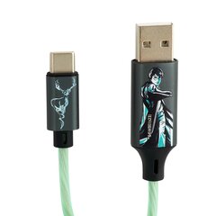 Helendav laadimiskaabel Harry Potter koos pistikutega USB A - C, 1,2 m pikk hind ja info | Mobiiltelefonide kaablid | kaup24.ee