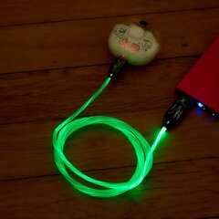 Светящийся зарядный кабель Harry Potter с разъемами USB A - C, длина 1,2 м. цена и информация | Кабели для телефонов | kaup24.ee