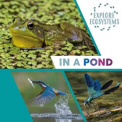 Explore Ecosystems: In a Pond Illustrated edition цена и информация | Книги для подростков и молодежи | kaup24.ee