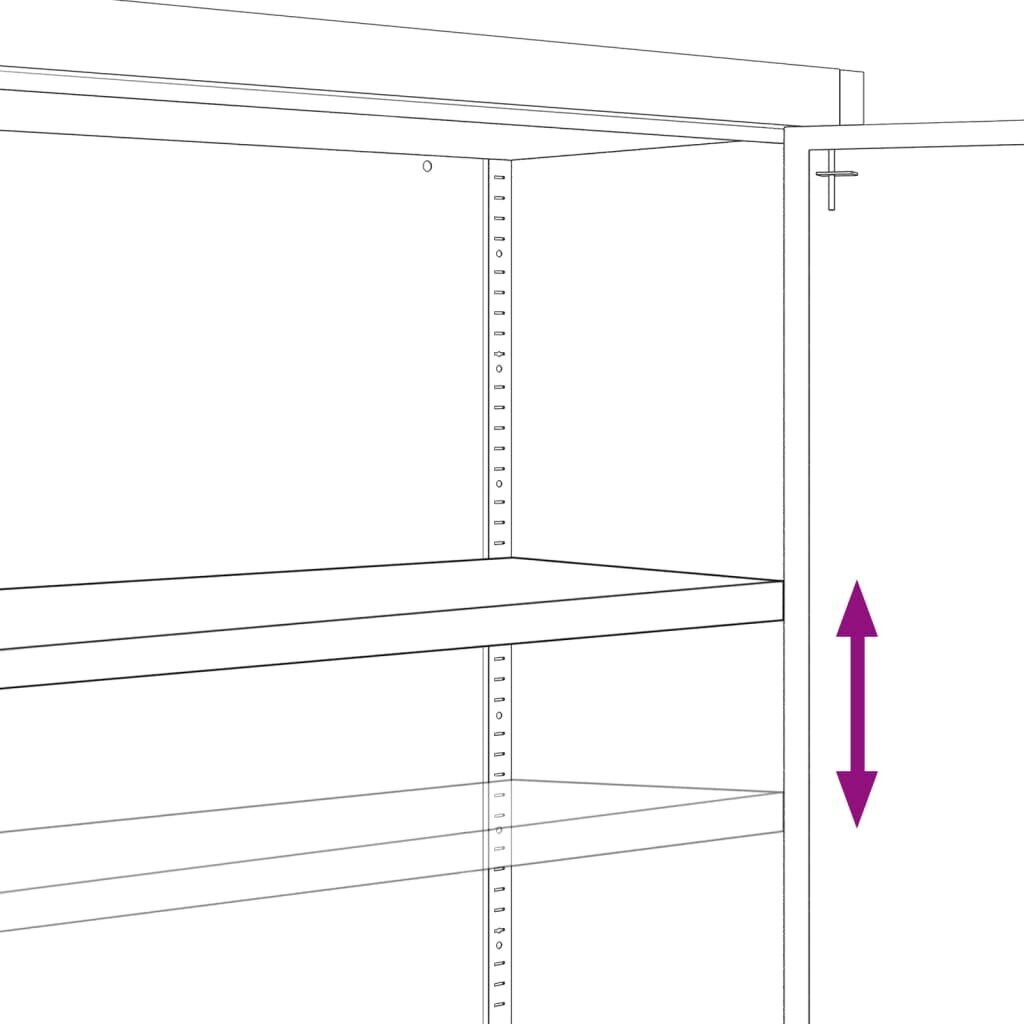 vidaXL dokumendikapp, antratsiit ja valge, 90 x 40 x 70 cm, teras цена и информация | Elutoa väikesed kapid | kaup24.ee