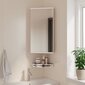 vidaXL vannitoa nurga peegelkapp, valge, 30 x 24 x 60 cm hind ja info | Vannitoakapid | kaup24.ee