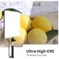 10" LED lamp koos alusega hind ja info | Fotovalgustuse seadmed | kaup24.ee