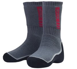 Носки Alaskan L, 39-43, Серый/черный цена и информация | Мужские носки | kaup24.ee