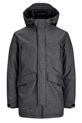 Зимняя куртка Jack & Jones цена и информация | Мужские куртки | kaup24.ee