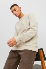 Спортивный свитер Jack & Jones цена и информация | Мужские свитера | kaup24.ee