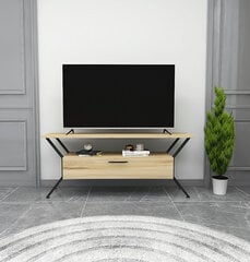 TV alus Asir, 124x54x35cm, beež цена и информация | Тумбы под телевизор | kaup24.ee