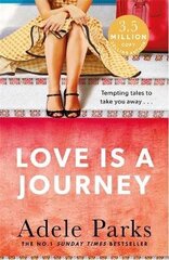 Love Is A Journey цена и информация | Фантастика, фэнтези | kaup24.ee