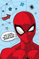 Disney плед Spiderman Star, 100x150 см цена и информация | Покрывала, пледы | kaup24.ee