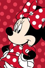 Плед Disney Minnie Red, 100х150 см цена и информация | Покрывала, пледы | kaup24.ee