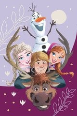 Pleedtekk Disney Frozen Family, 100x150 cm hind ja info | Voodikatted, pleedid | kaup24.ee