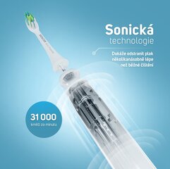 Sencor SOC 4010BL цена и информация | Электрические зубные щетки | kaup24.ee