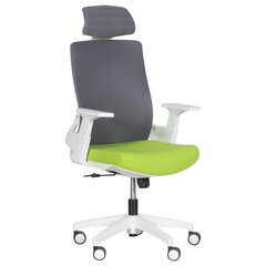 Комплект из 2 офисных кресел Wood Garden Carmen 7546, зеленый/серый цвет цена и информация | Офисные кресла | kaup24.ee