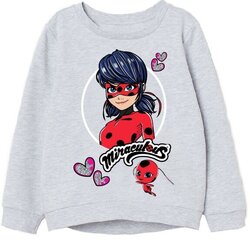 Dressipluus tüdrukutele Miraculous Ladybug, hall цена и информация | Свитеры, жилетки, пиджаки для девочек | kaup24.ee