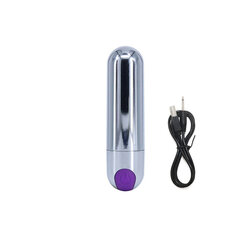 Miniatuurne vibraator Vibreeriv pall Blue Lotus, Hõbedane, lilla nupp цена и информация | Вибраторы | kaup24.ee