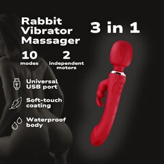 Vibraator 3 in 1 küülik Blue Lotus, punane hind ja info | Vibraatorid | kaup24.ee