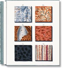 Jan Christiaan Sepp. The Book of Marble Multilingual edition hind ja info | Kunstiraamatud | kaup24.ee