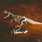 Loominguline teaduskogu Lisciani Draakonid ja dinosaurused hind ja info | Arendavad mänguasjad | kaup24.ee