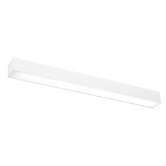 Wall lamp PINNE 117 grey THORO TH.073 цена и информация | Настенные светильники | kaup24.ee