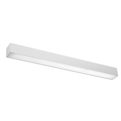 Plafond PINNE 117 grey THORO TH.079 цена и информация | Настенный светильник Конусы | kaup24.ee