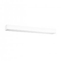 Plafond PINNE 67 white THORO TH.041 цена и информация | Потолочные светильники | kaup24.ee