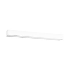 Plafond PINNE 67 white THORO TH.041 цена и информация | Потолочные светильники | kaup24.ee