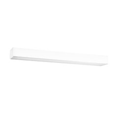 Plafond PINNE 150 white THORO TH.095 цена и информация | Потолочные светильники | kaup24.ee