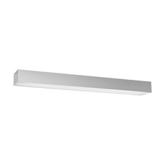 Plafond PINNE 67 grey THORO TH.046 цена и информация | Потолочные светильники | kaup24.ee