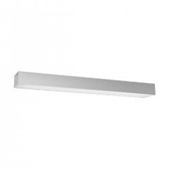 Plafond PINNE 67 grey THORO TH.046 цена и информация | Потолочные светильники | kaup24.ee