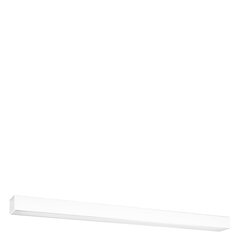 Plafond PINNE 90 white THORO TH.059 цена и информация | Потолочные светильники | kaup24.ee