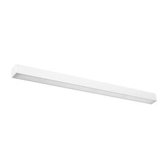 Wall lamp PINNE 117 grey THORO TH.073 цена и информация | Настенные светильники | kaup24.ee