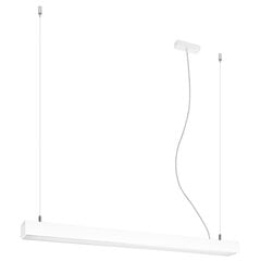 Pendant lamp PINNE 150 white THORO TH.083 цена и информация | Потолочный светильник, 38 x 38 x 24 см | kaup24.ee