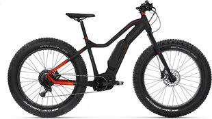 Электрический велосипед Tunturi eMAX SE, 50 см, черный цвет цена и информация | Электровелосипеды | kaup24.ee