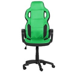 Игровое кресло Wood Garden Carmen 7510, зеленый цвет цена и информация | Офисные кресла | kaup24.ee