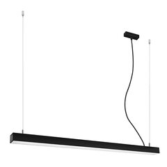 Pendant lamp PINNE 117 black THORO TH.066 цена и информация | Люстры | kaup24.ee