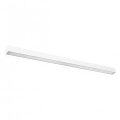 Wall lamp PINNE 117 white THORO TH.074 цена и информация | Настенные светильники | kaup24.ee