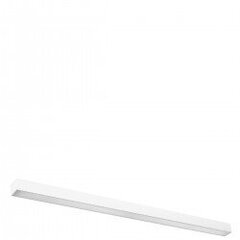 Wall lamp PINNE 117 white THORO TH.071 цена и информация | Настенные светильники | kaup24.ee