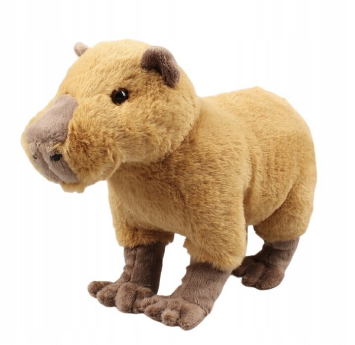 Pehme mänguasi Capybara, 2 tk hind ja info | Pehmed mänguasjad | kaup24.ee