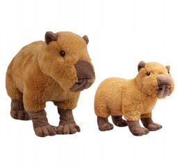 Pehme mänguasi Capybara, 2 tk цена и информация | Мягкие игрушки | kaup24.ee