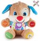 Palus mänguasi Fisher-Price ja plüüsist padi Cat, 50 cm hind ja info | Imikute mänguasjad | kaup24.ee