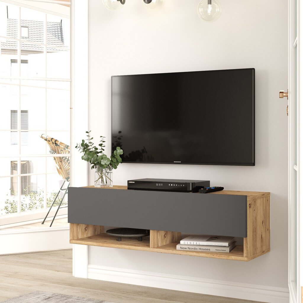 TV alus Asir, 100x29,1x31,6cm, hall ja beež hind ja info | TV alused | kaup24.ee