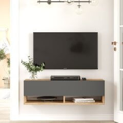 TV alus Asir, 100x29,1x31,6cm, hall ja beež цена и информация | Тумбы под телевизор | kaup24.ee